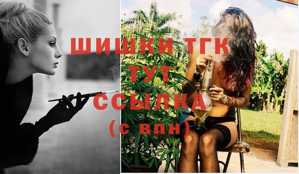 мдпв Вяземский