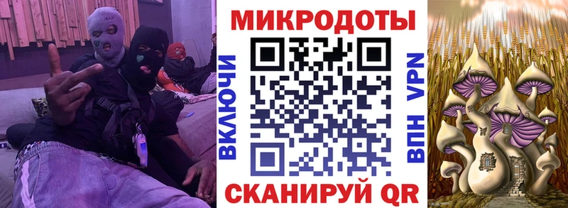 Псилоцибиновые грибы ЛСД Купить закладки Катав-Ивановск